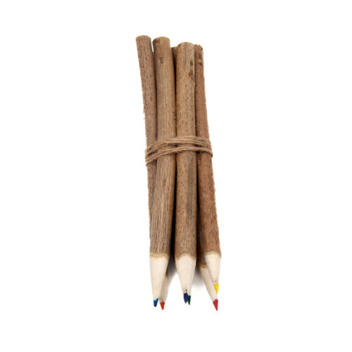 Wood Twig Colour Pencil Set