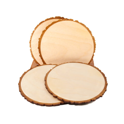 Live Edge Coaster